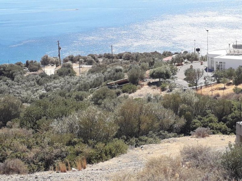 Pefko Baugrundstück mit Meerblick auf Kreta – 4.180m² – investitionsbereit Grundstück kaufen